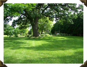 Casino Diamond Jo Hotel Northern Iowa Pet Friendly Low Priced